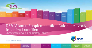 Vitamin_Supp_Guidelines-1