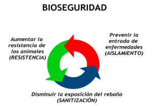 Figura 1. Objetivos de la bioseguridad.