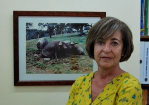 Elena Dieguez, secretaria técnica de la Asociación Española de Criadores del Cerdo Ibérico (Aeceriber)
