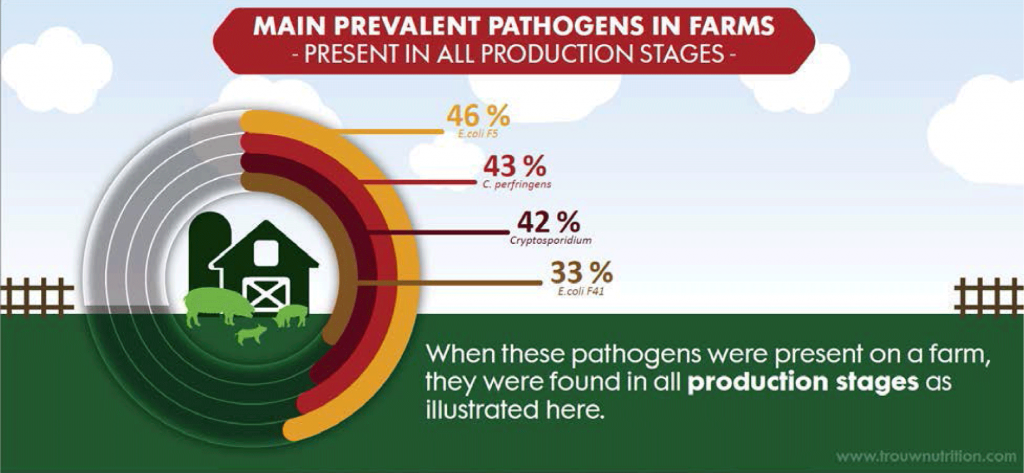 Principales patógenos prevalentes en granja