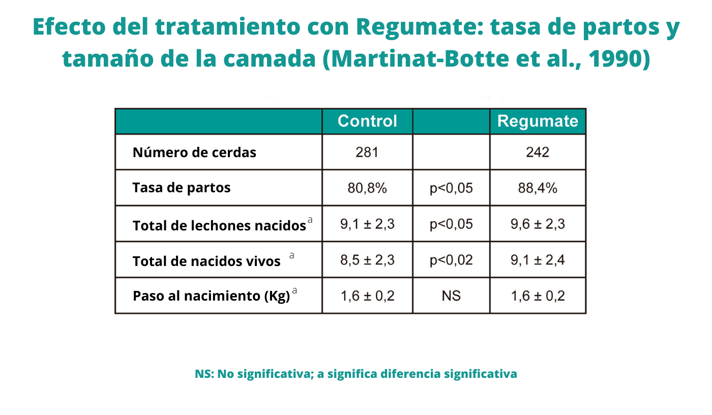 Efecto del tratamiento con Regumate tasa de partos y tamaño de la camada (Martinat-Botte et al., 1990)