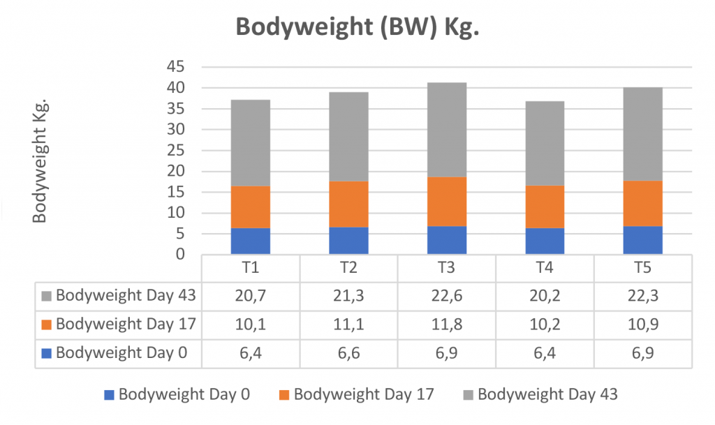 Graph 1: Bodyweight.